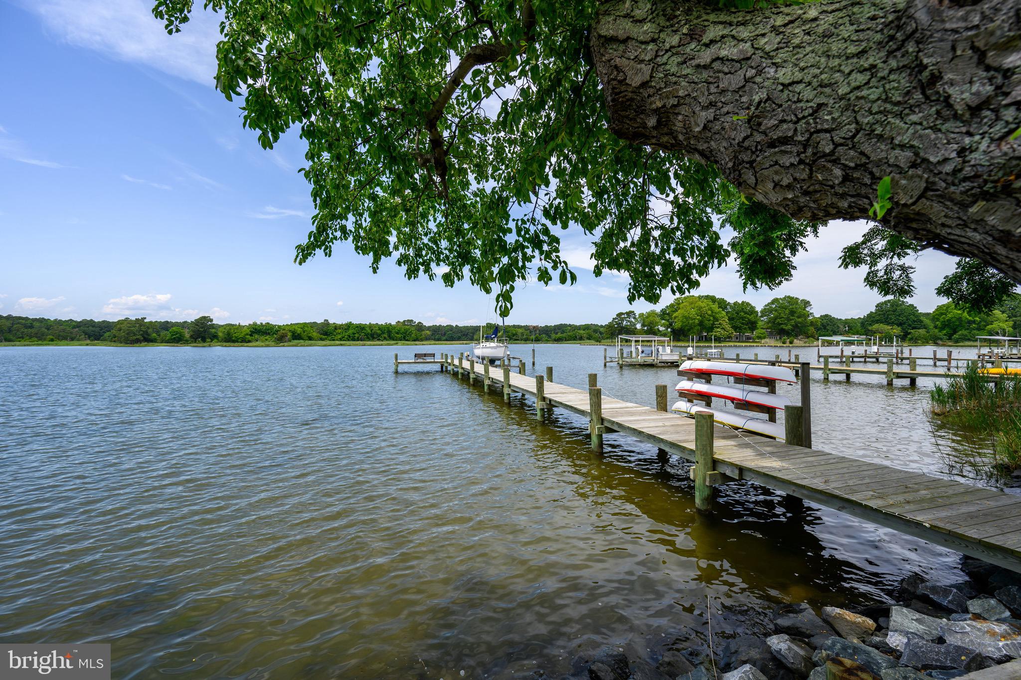 1606 Howard Road Chester, MD 21619 - Photo 51 of 54 a view of a lake with boats and trees in the background