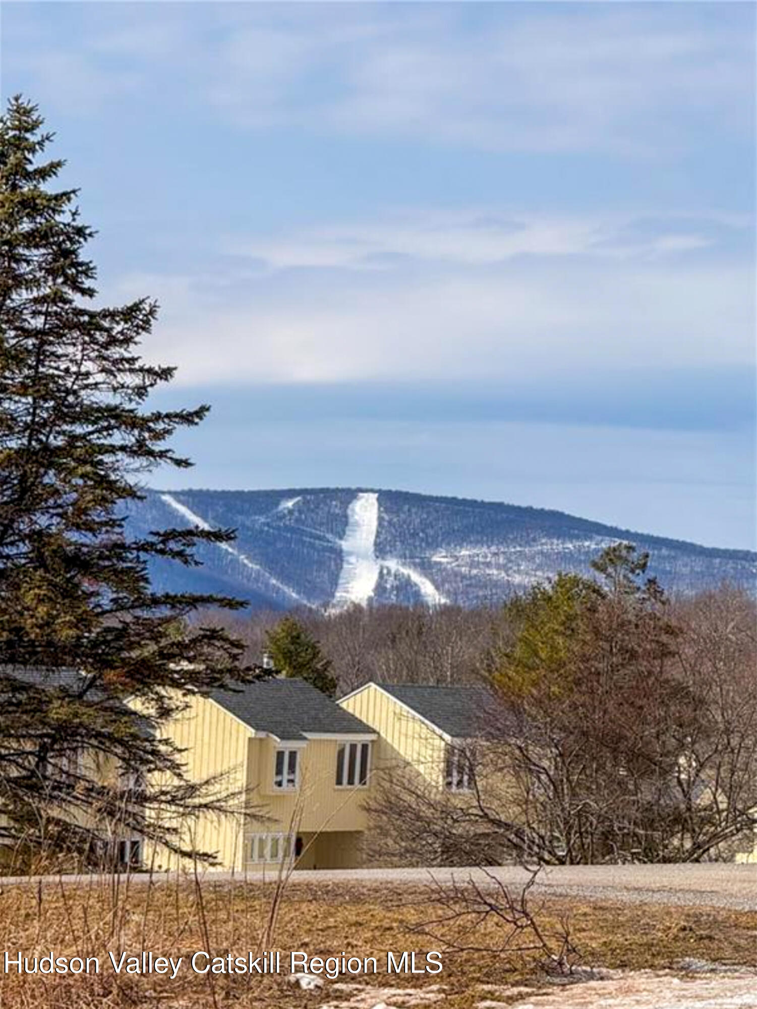 270 Pines Drive, Unit 92 Roxbury, NY 12421 - Photo 19 of 31 a view of houses with sky view