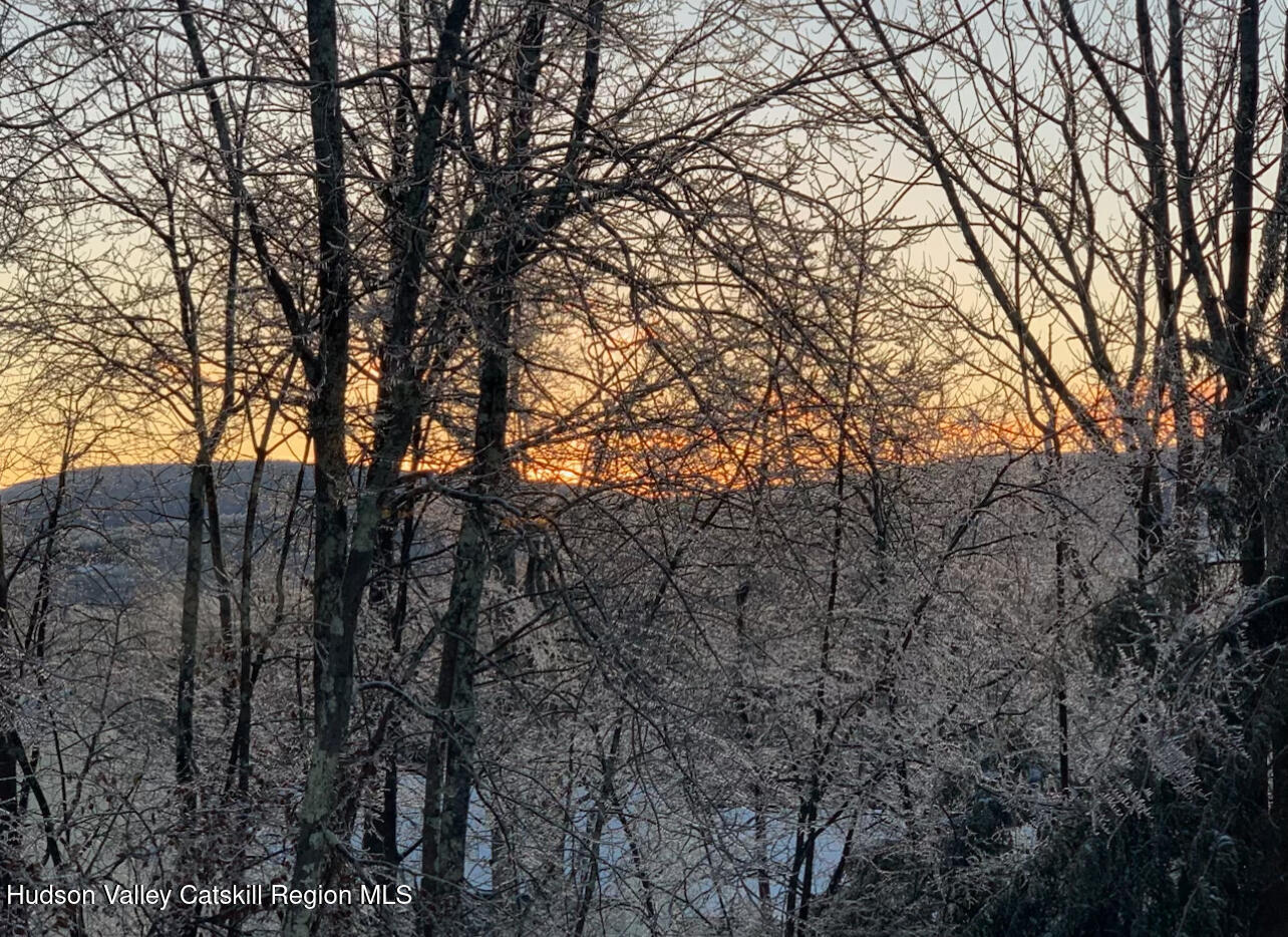 270 Pines Drive, Unit 92 Roxbury, NY 12421 - Photo 20 of 31