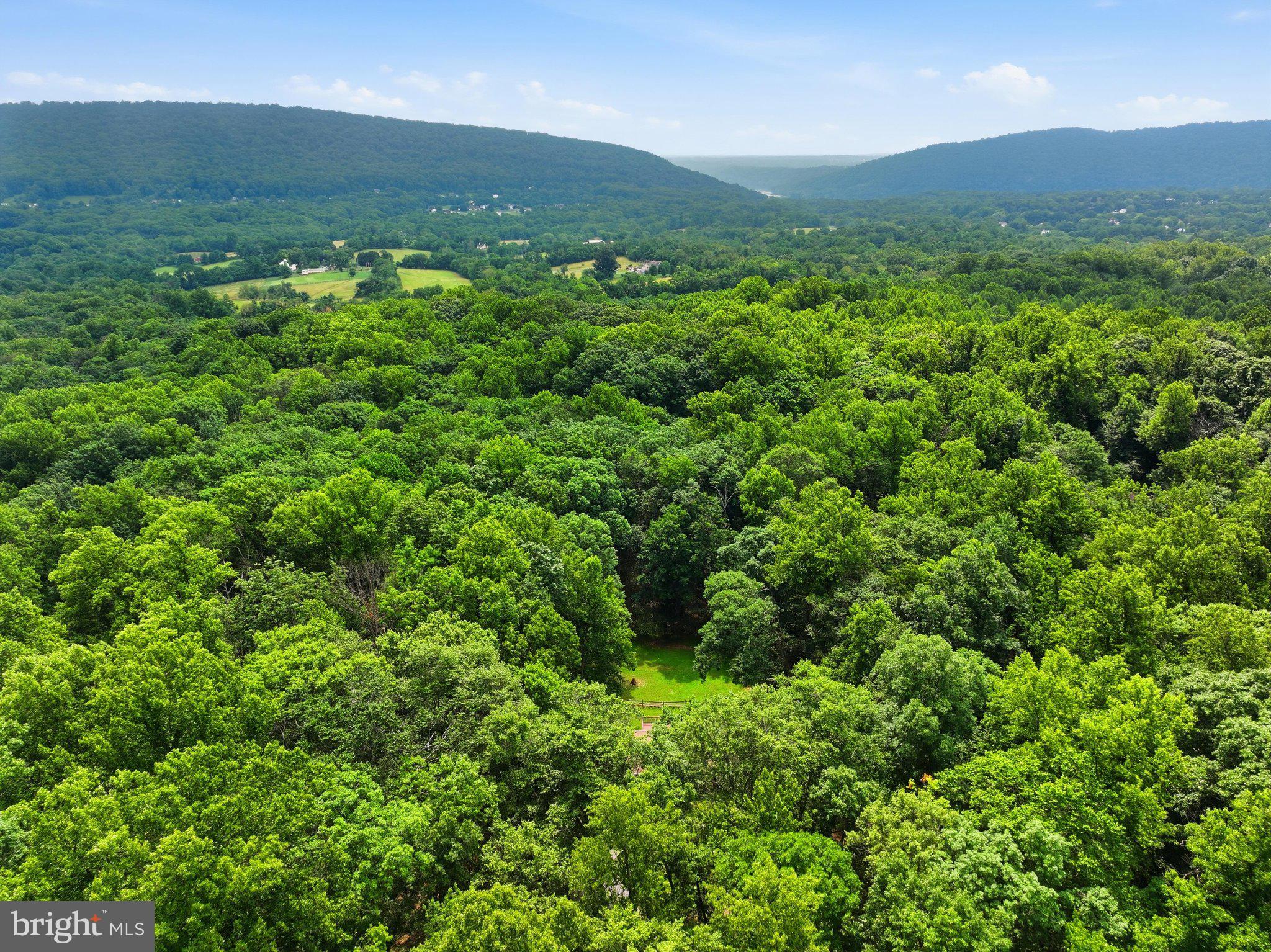 1335 Brown Road Knoxville, MD 21758 - Photo 46 of 68 Aerial Front