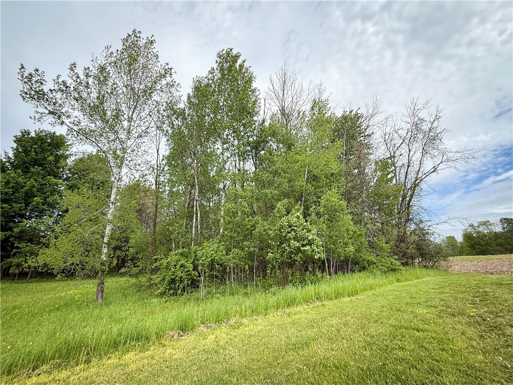 Gifford Road Hannibal, NY 13074 - Photo 10 of 50