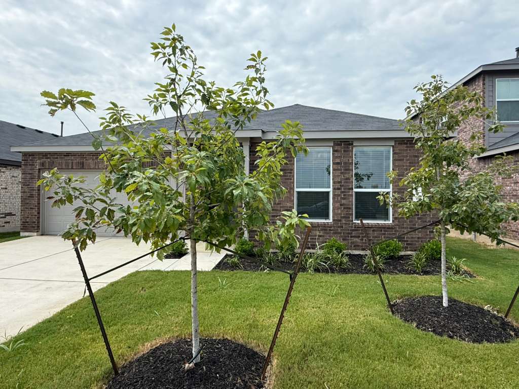a house view with a garden space