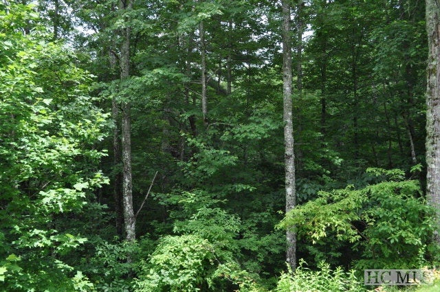 Lot 6 Hickory Ridge Road Scaly Mountain, NC 28775 - Photo 1 of 1 Gallery Image 1
