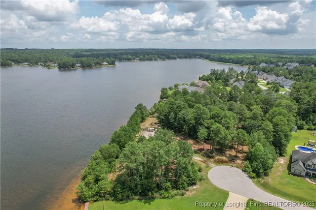 a view of a lake with a city