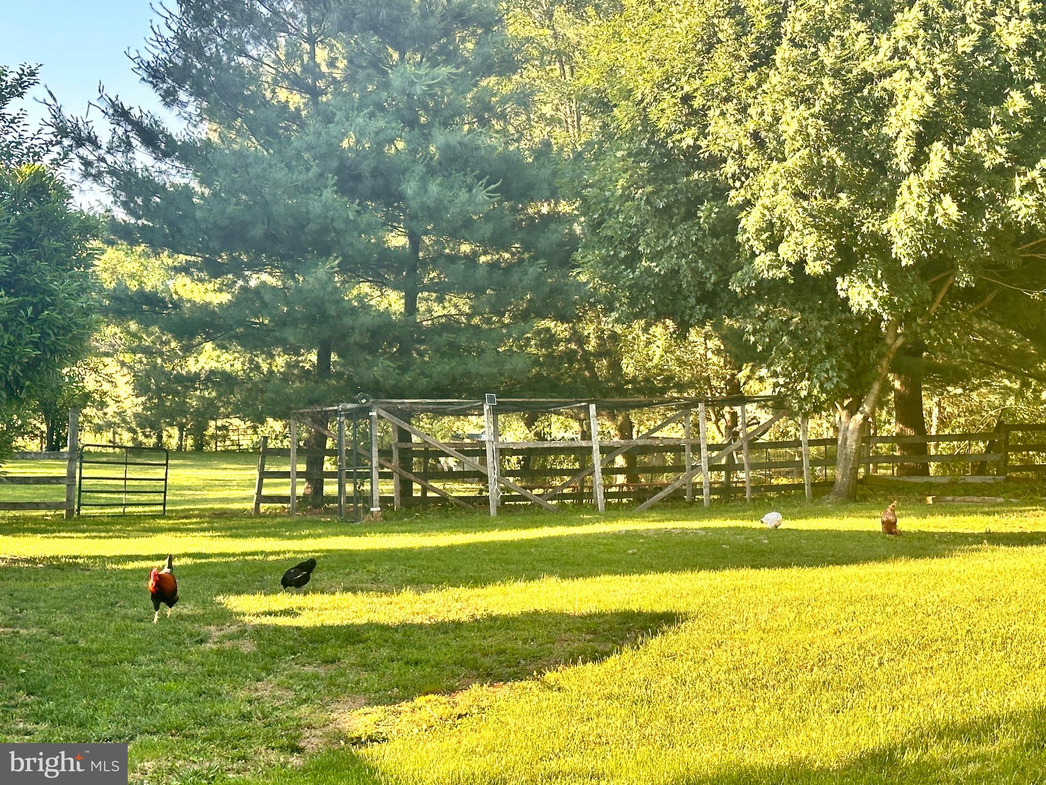 6155 King Road Boonsboro, MD 21713 - Photo 30 of 45