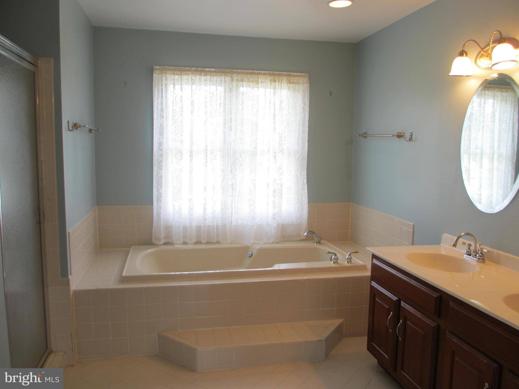 8514 Indian Springs Road Frederick, MD 21702 - Photo 18 of 30 Bath (Master)