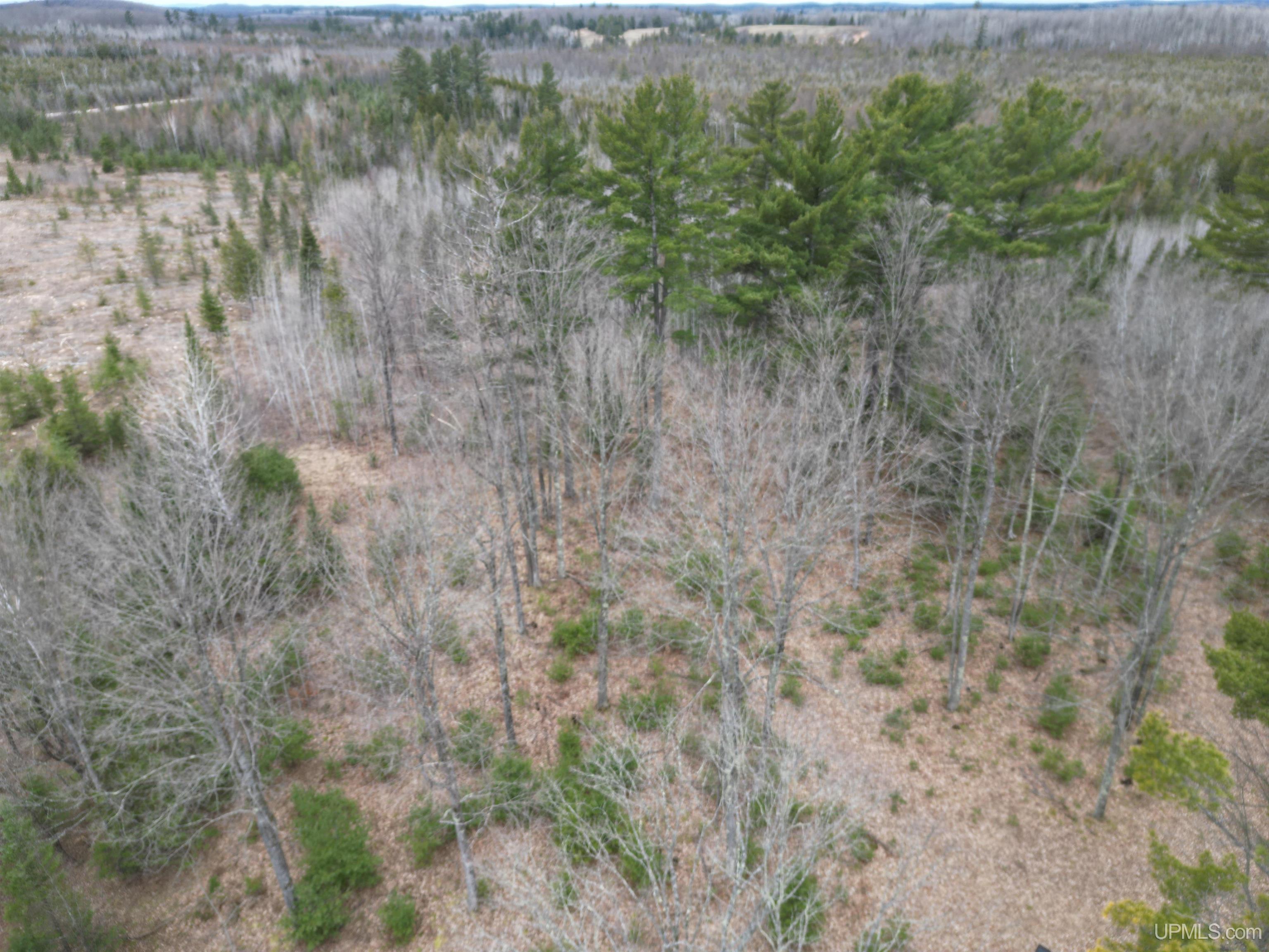 M69 Rd Perronville Mi 49873 Road Perronville, MI 49873 - Photo 29 of 41
