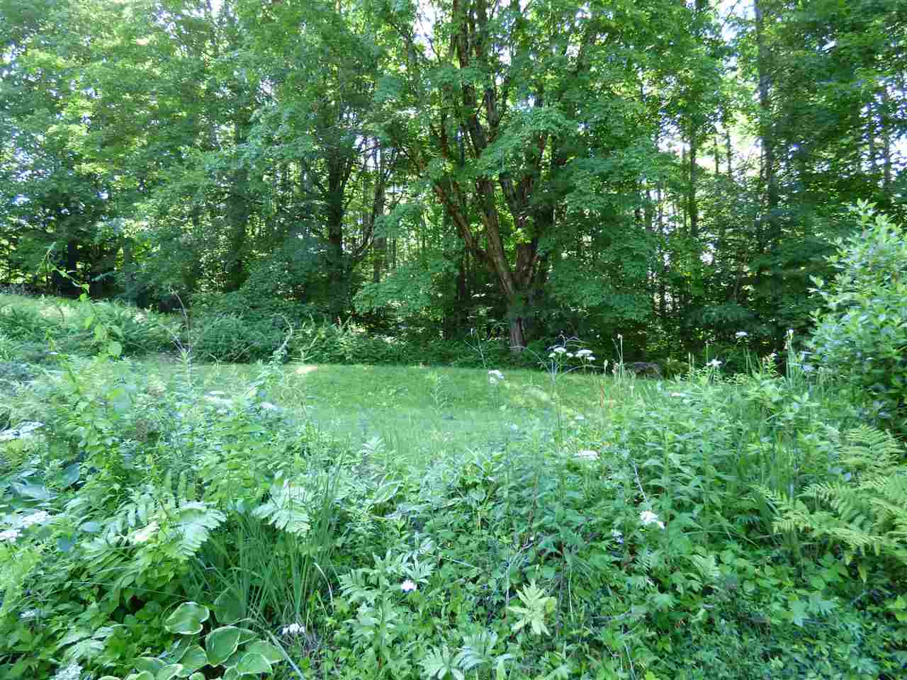 112 Chester Hill Road Grafton, VT 05146 - Photo 26 of 29 Gallery Image 26