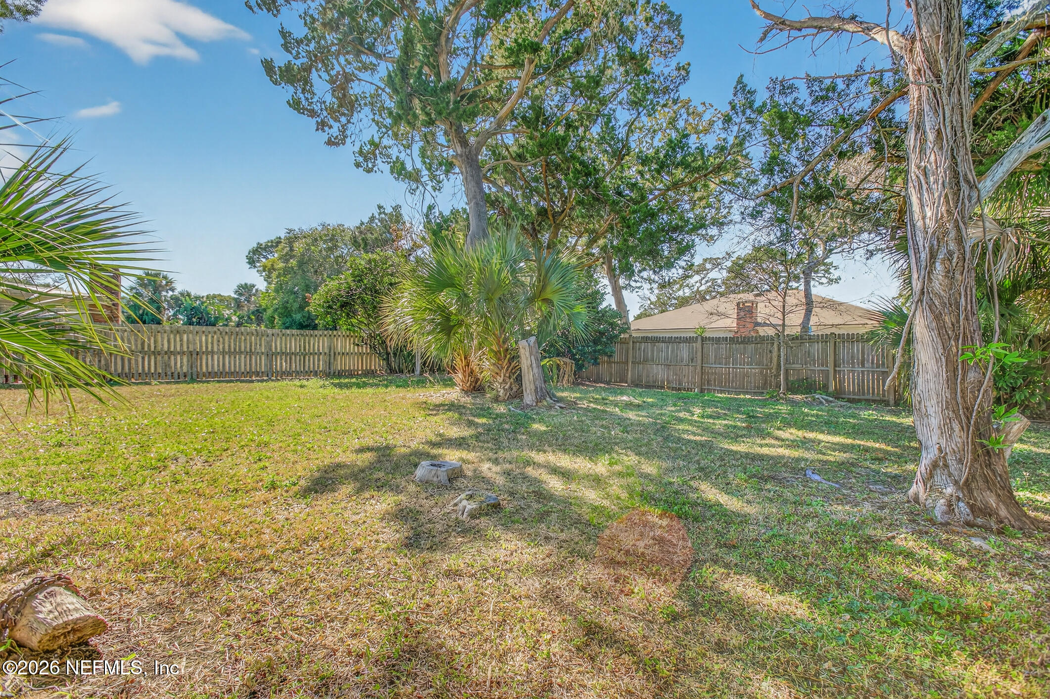 113 Menendez Road St. Augustine, FL 32080 - Photo 55 of 71 a view of a yard with a tree