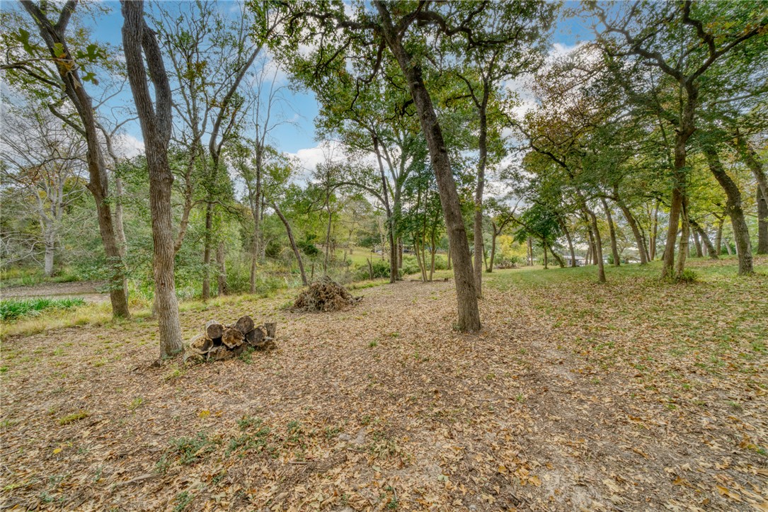 10232 Riley Green Road Franklin, TX 77856 - Photo 16 of 40 View of yard