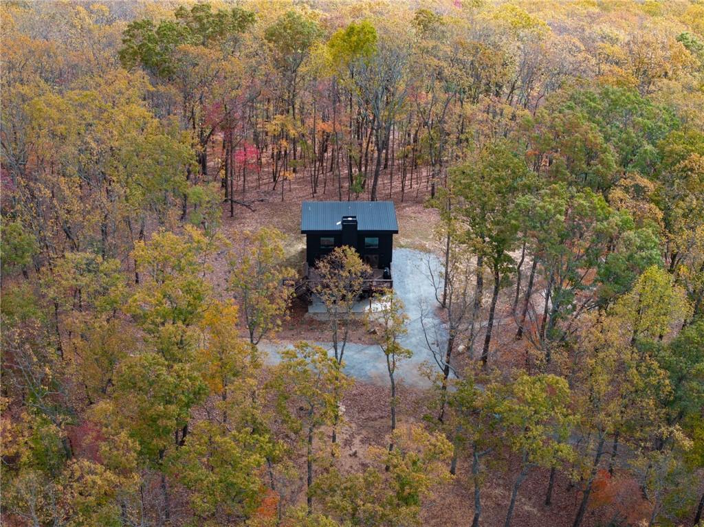 1250 Lost Forest Road Ellijay, GA 30536 - Photo 2 of 36 Gallery Image 2