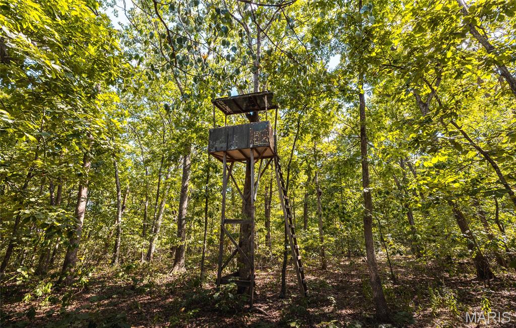 5 Buck Mountain Road Ironton, MO 63650 - Photo 13 of 13