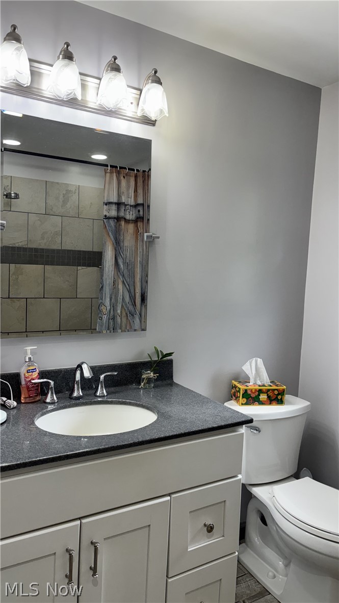 11784 Chamberlain Road Mantua, OH 44255 - Photo 13 of 50 White vanity with cabinet storage, dark speckled countertop, undermount sink with chrome faucet, and a wall-mounted light fixture