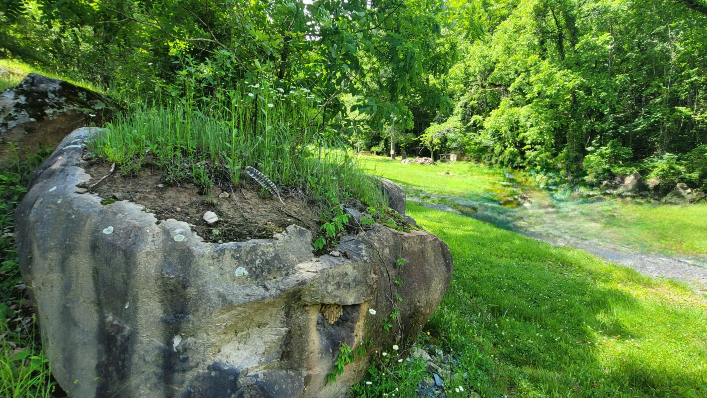 927 Bluestone River Road Jumping Branch, WV 25969 - Photo 60 of 70 Gallery Image 60