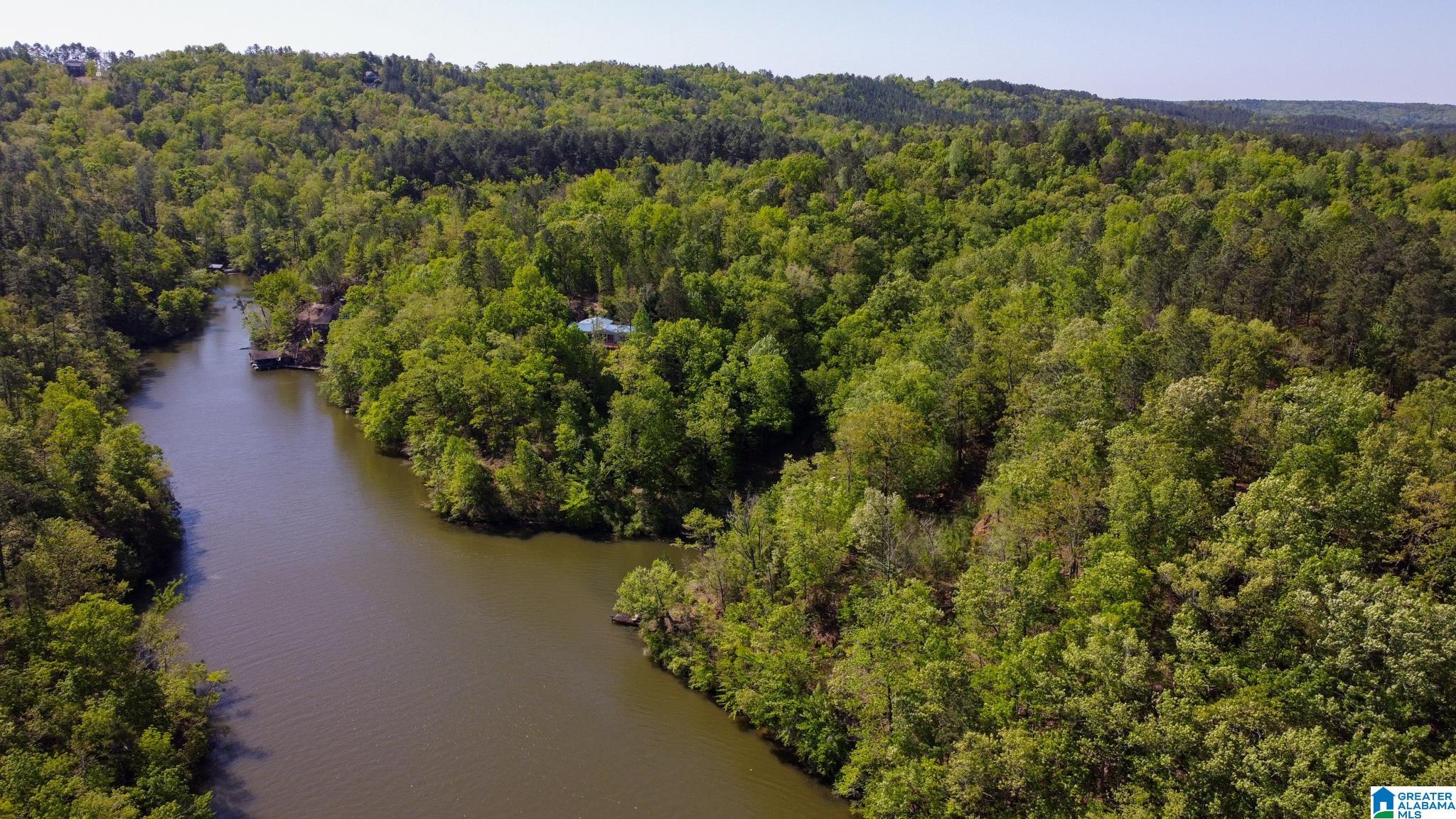 517 Indian Springs Road Rockford, AL 35136 - Photo 28 of 39