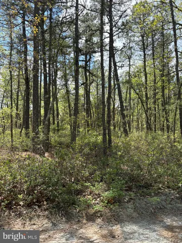 $1,800,000 | Jackson Road, Medford, NJ 08055