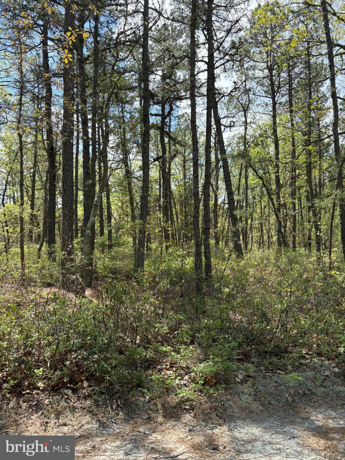 Jackson Road Medford, NJ 08055 - Photo 3 of 5 Jackson Road Medford