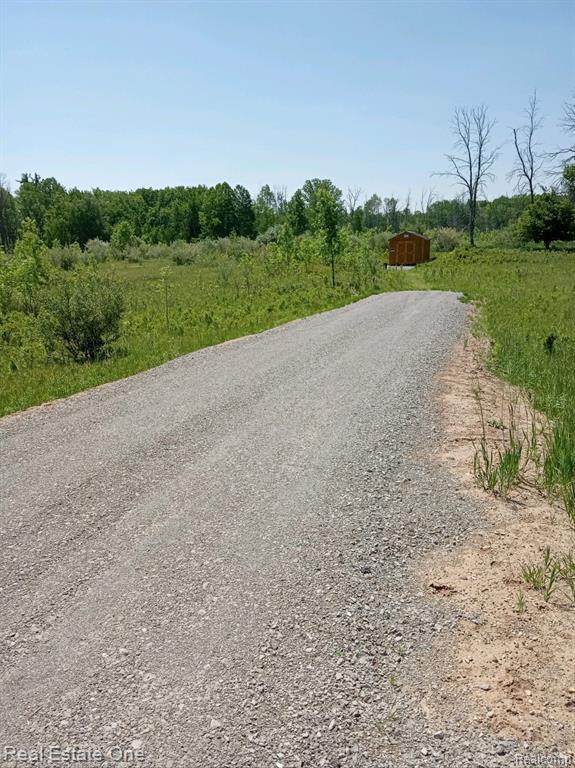 Vl Mills Road Prescott, MI 48756 - Photo 6 of 8 Gallery Image 6