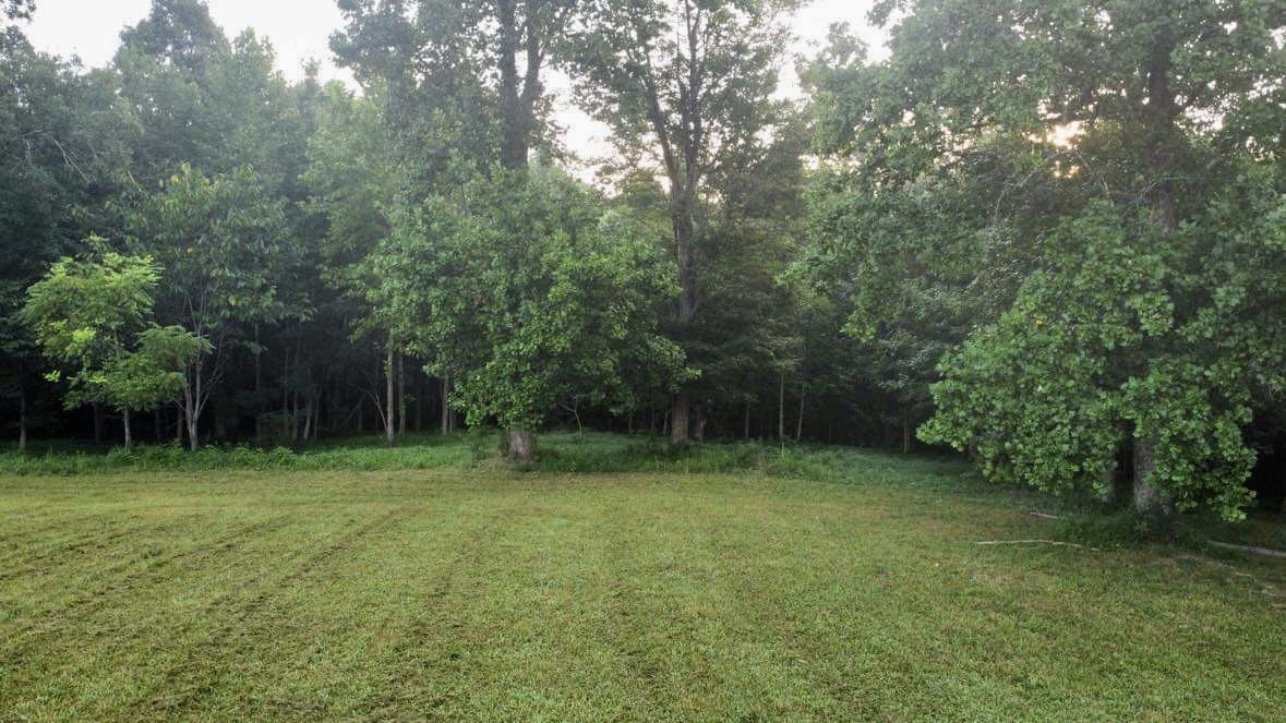 499 Northup Road Portland, TN 37148 - Photo 1 of 30 Gallery Image 1