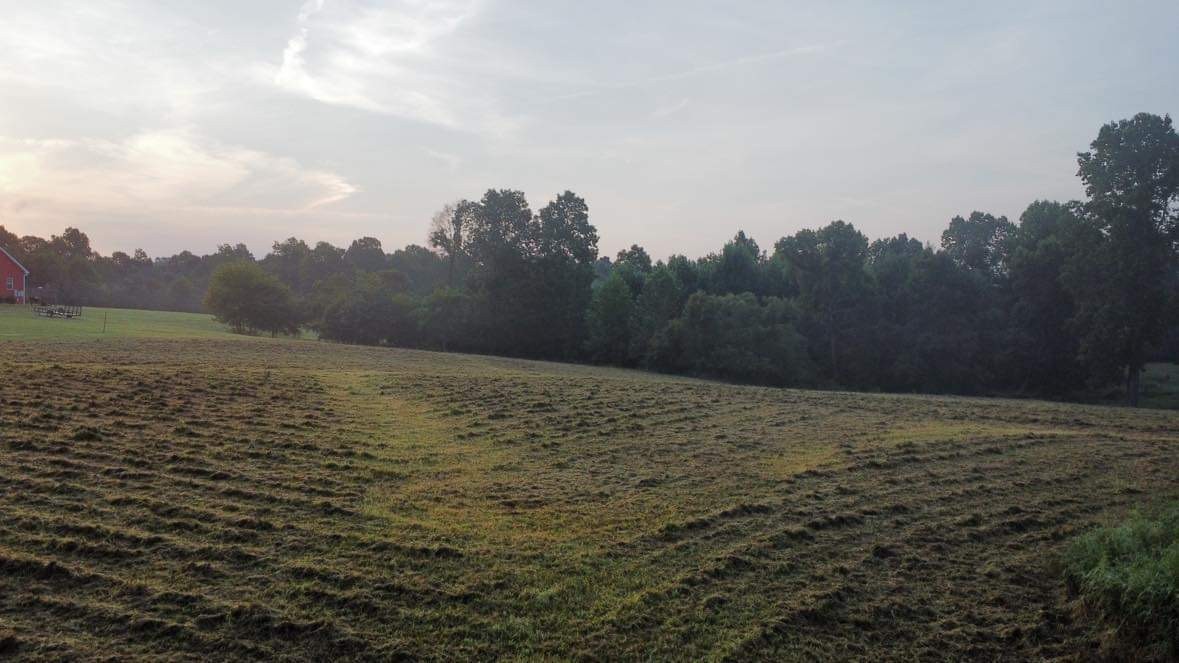 499 Northup Road Portland, TN 37148 - Photo 21 of 30 Gallery Image 21