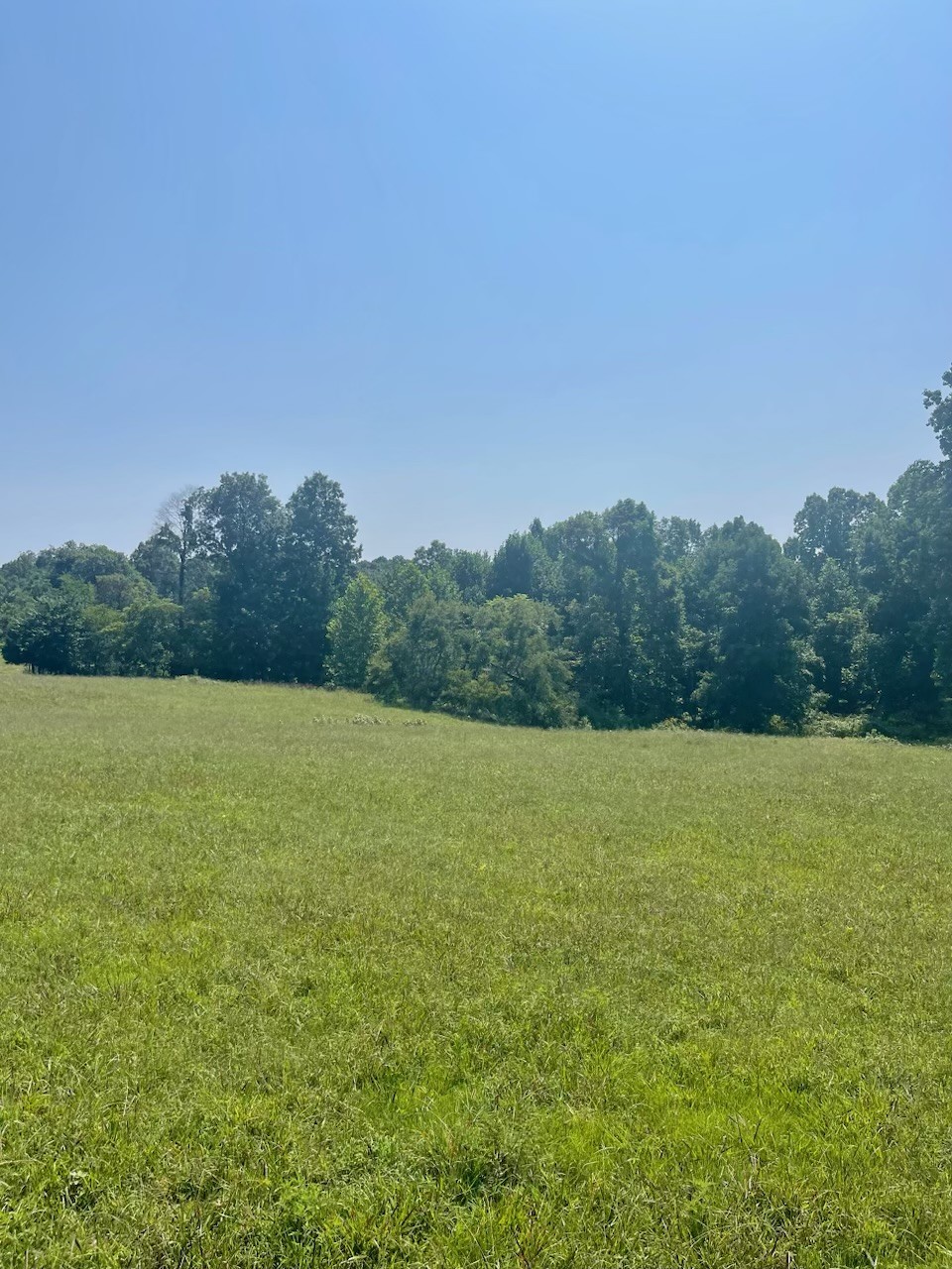 499 Northup Road Portland, TN 37148 - Photo 4 of 30 Gallery Image 4