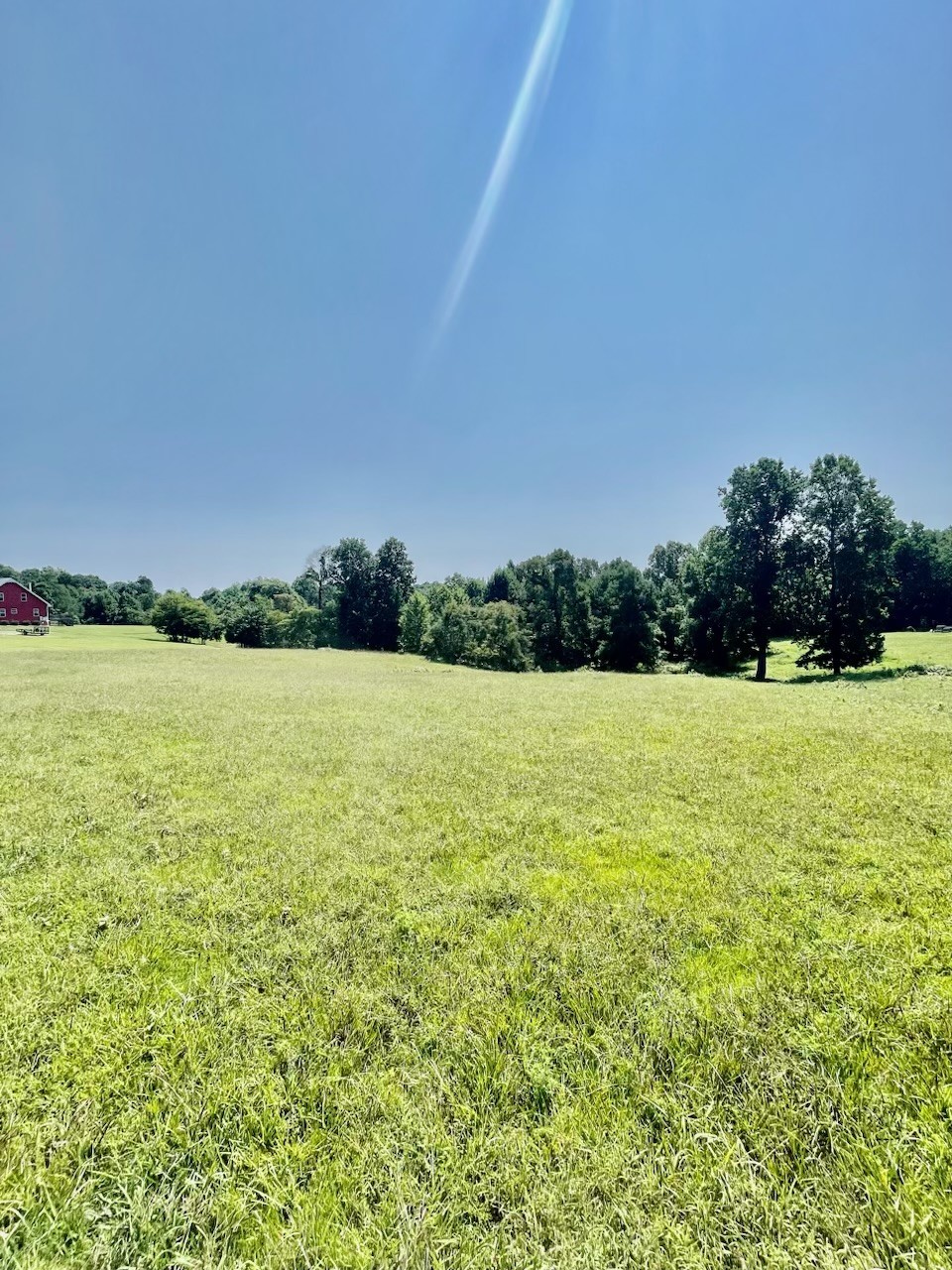 499 Northup Road Portland, TN 37148 - Photo 5 of 30 Gallery Image 5
