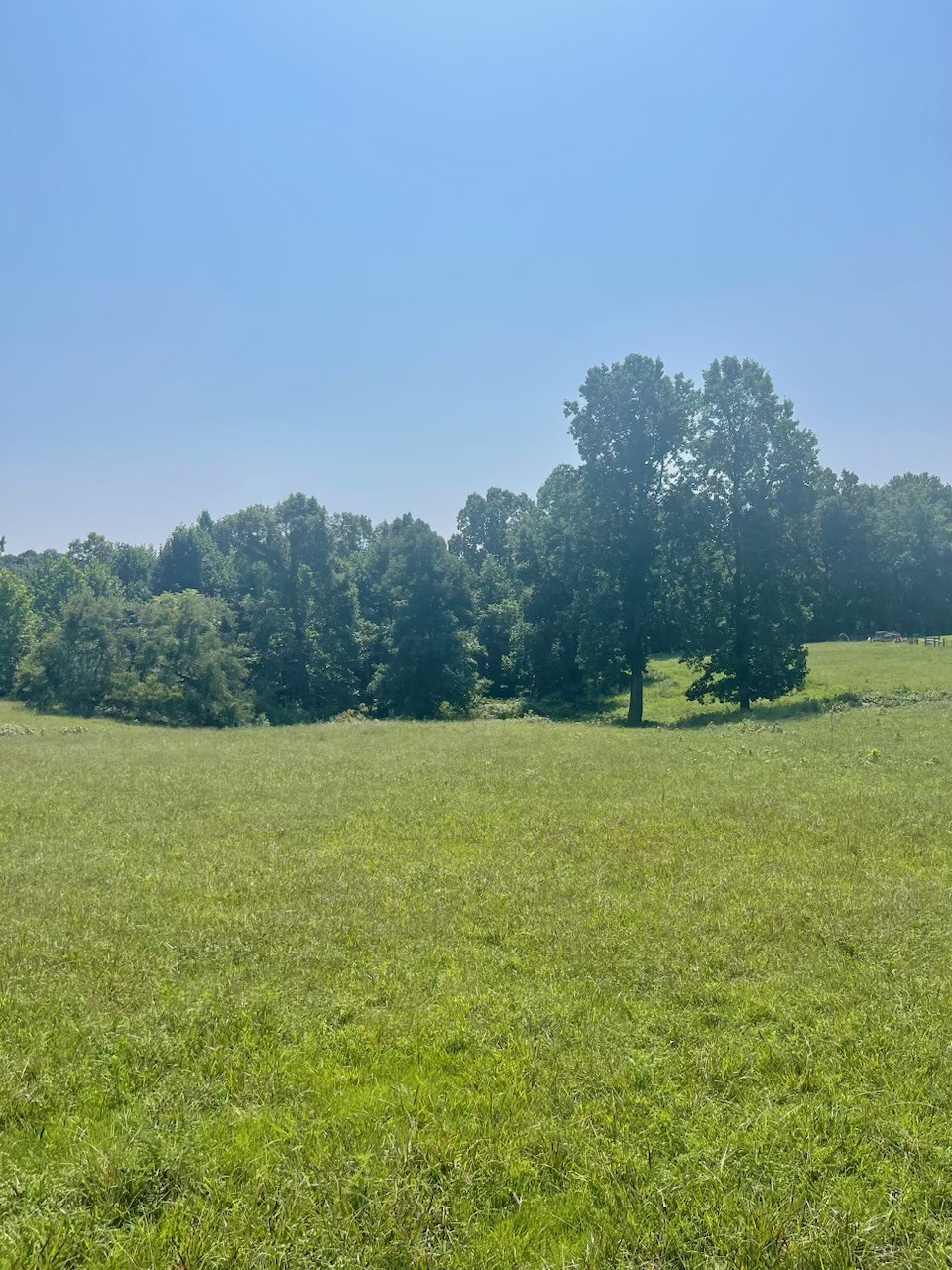 499 Northup Road Portland, TN 37148 - Photo 6 of 30 Gallery Image 6