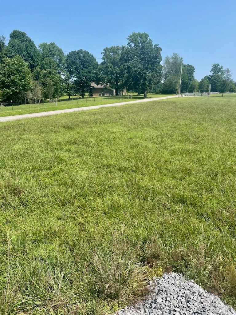 499 Northup Road Portland, TN 37148 - Photo 7 of 30 Gallery Image 7