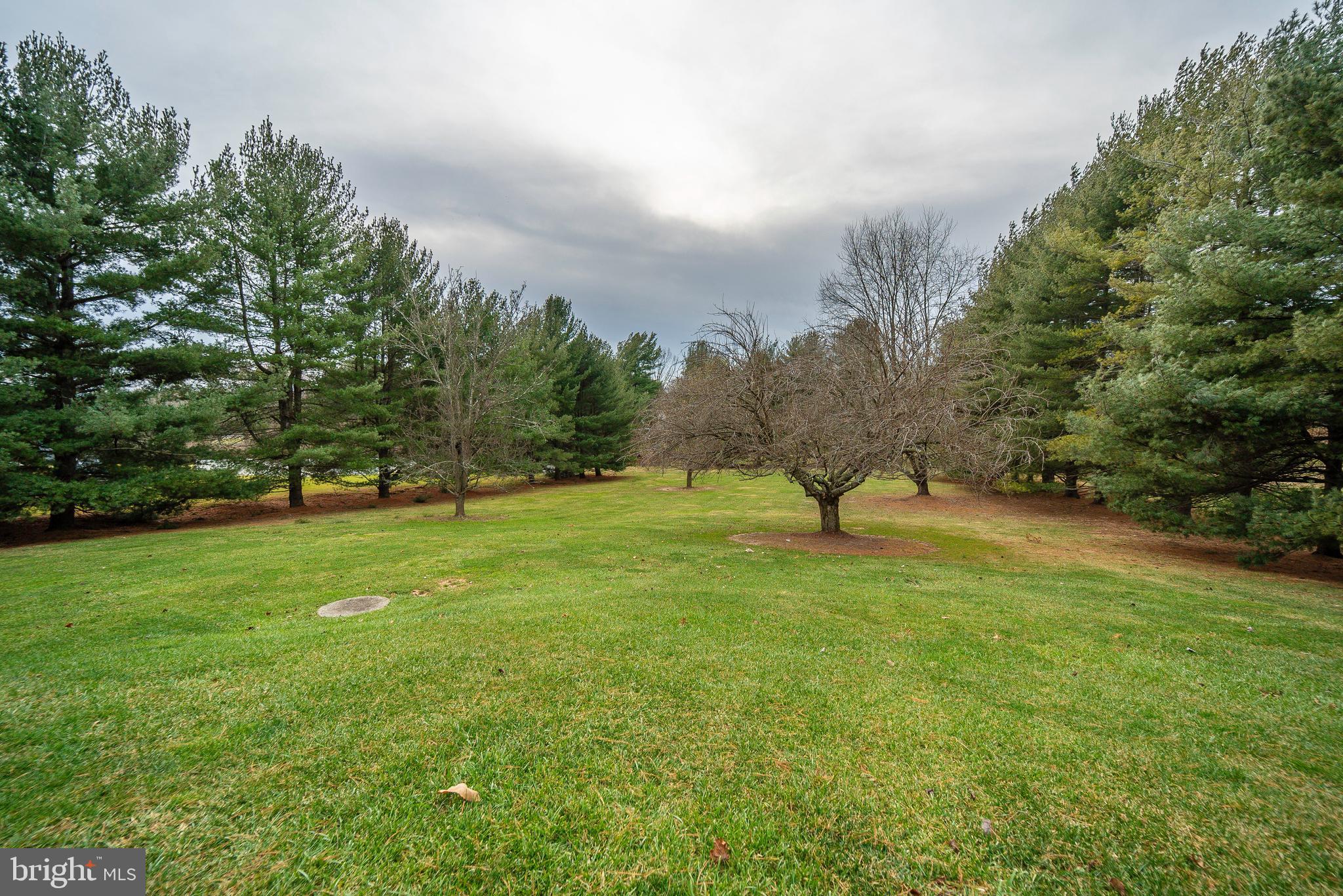 314 Delight Meadows Road Reisterstown, MD 21136 - Photo 51 of 55 Gallery Image 51