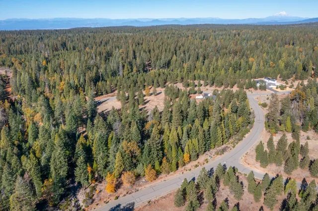 $116,000 | Lot 35 Princess Pine Place, Shingletown, CA 96088
