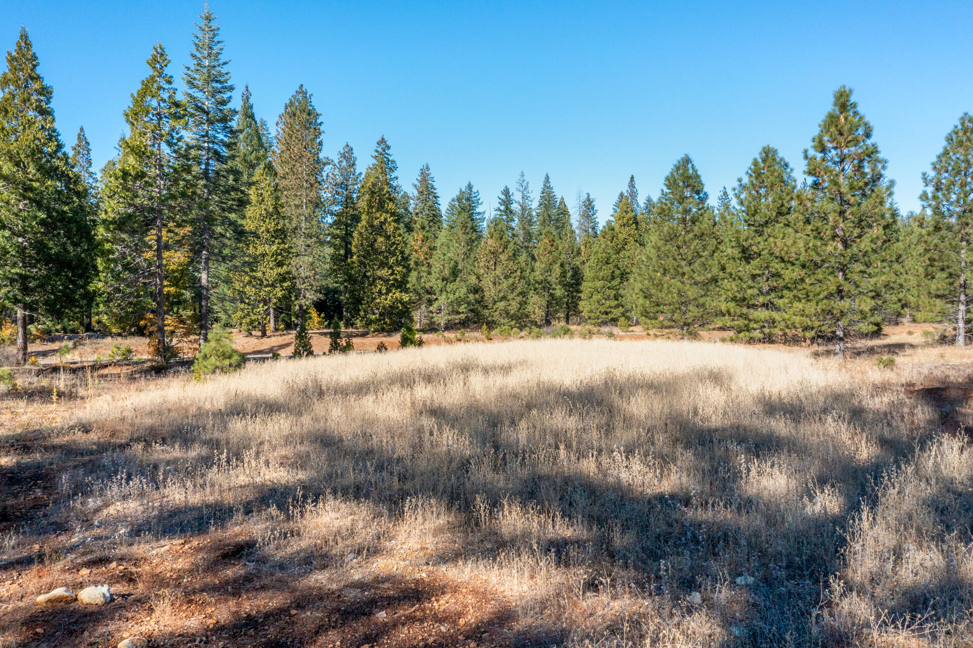 Lot 35 Princess Pine Place Shingletown, CA 96088 - Photo 3 of 11 a view of road covered with trees