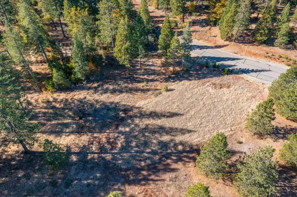 a view of a yard with trees