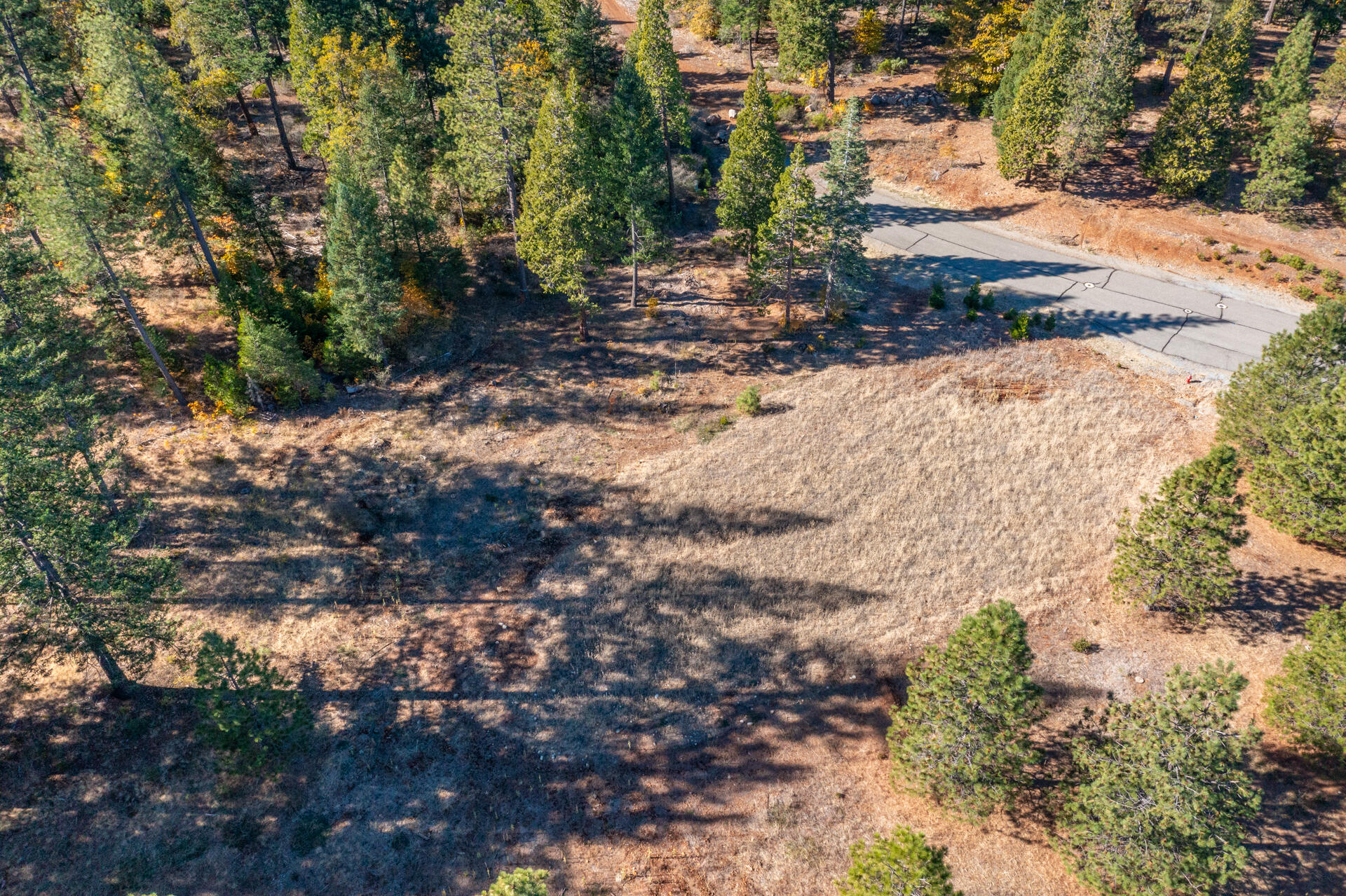 Lot 35 Princess Pine Place Shingletown, CA 96088 - Photo 6 of 11 a view of a yard with plants and large trees