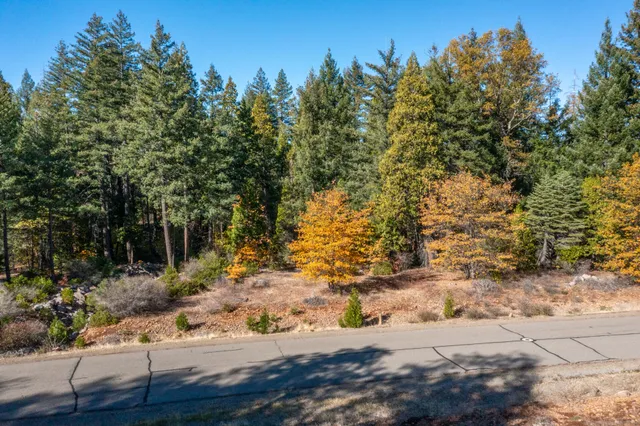 $116,000 | Lot 35 Princess Pine Place, Shingletown, CA 96088