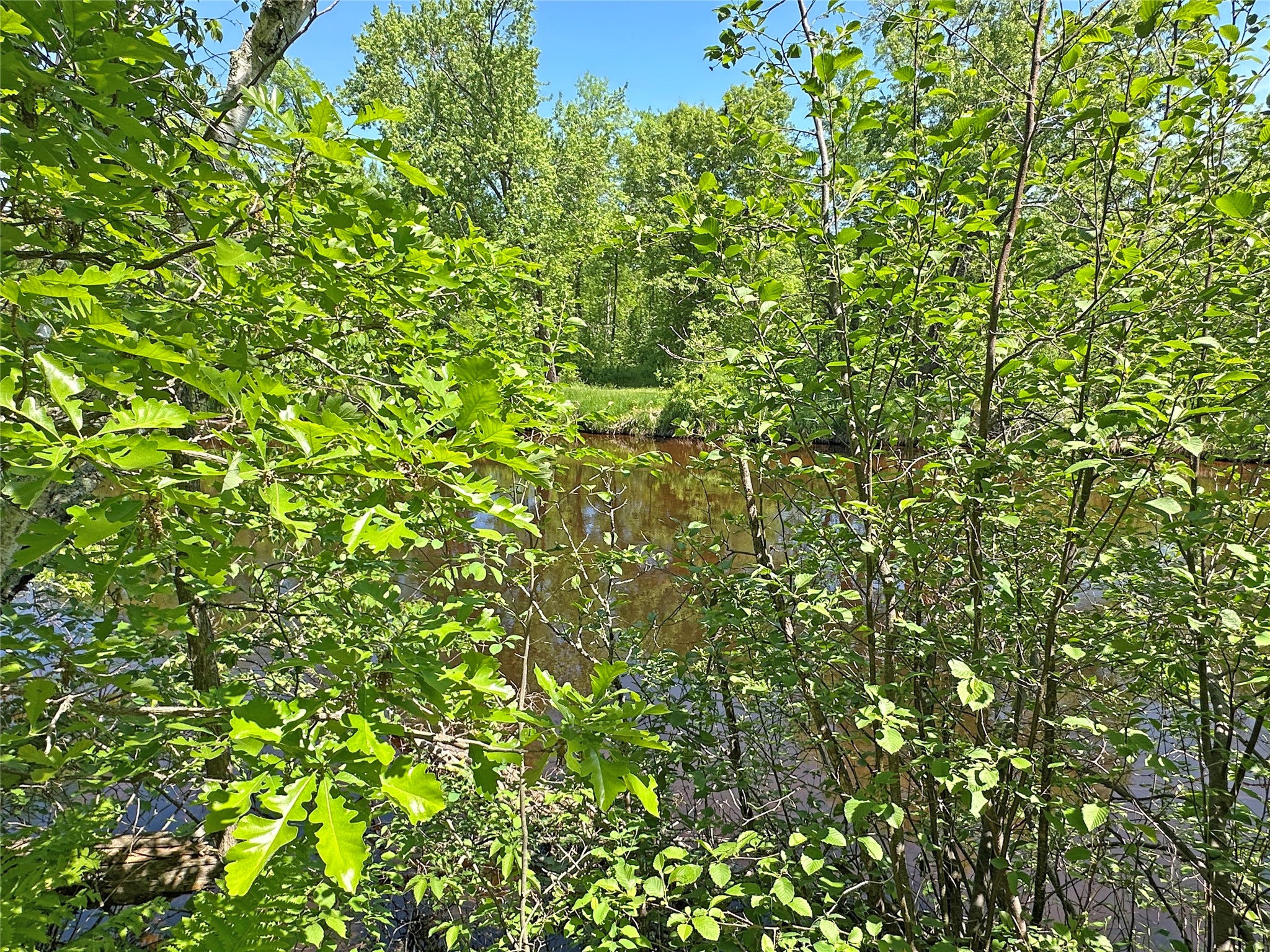 W9134 Chipmunk Trail Trego, WI 54888 - Photo 20 of 20