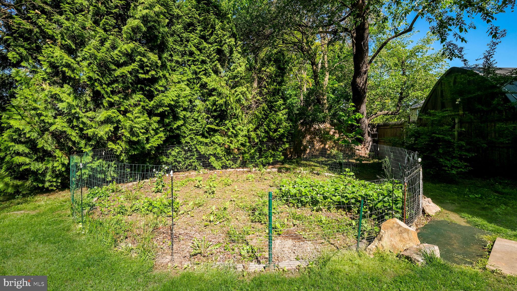 500 Prospect Road Warminster, PA 18974 - Photo 24 of 28 a view of a yard with plants