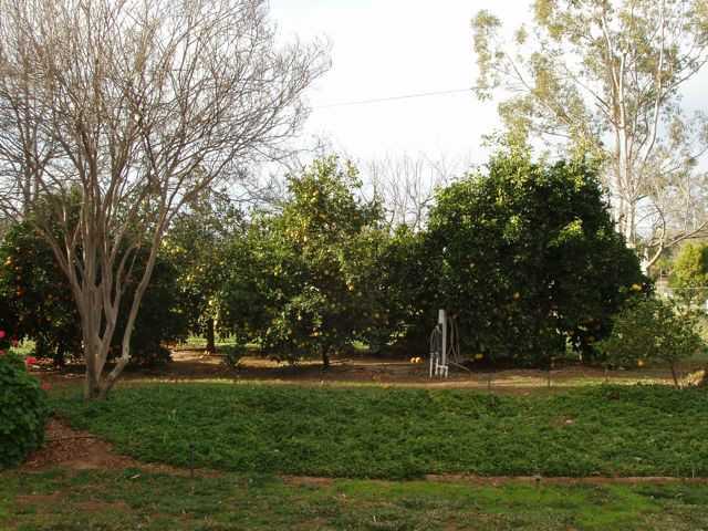 20224 Rancho Villa Road Ramona, CA 92065 - Photo 2 of 11 Gallery Image 2