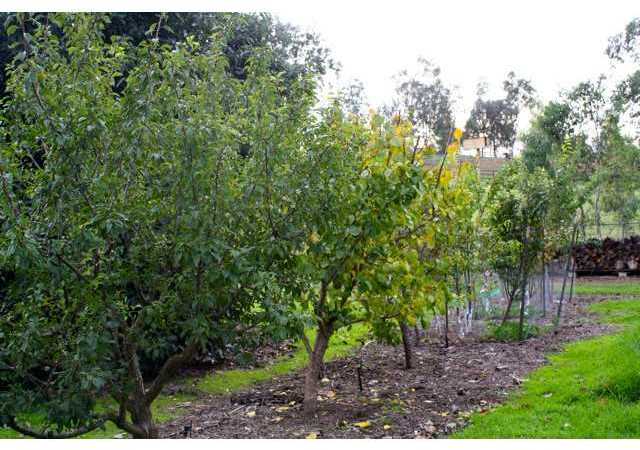 20224 Rancho Villa Road Ramona, CA 92065 - Photo 4 of 11 Gallery Image 4