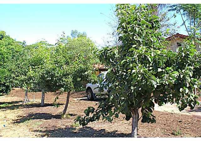 20224 Rancho Villa Road Ramona, CA 92065 - Photo 8 of 11 Gallery Image 8