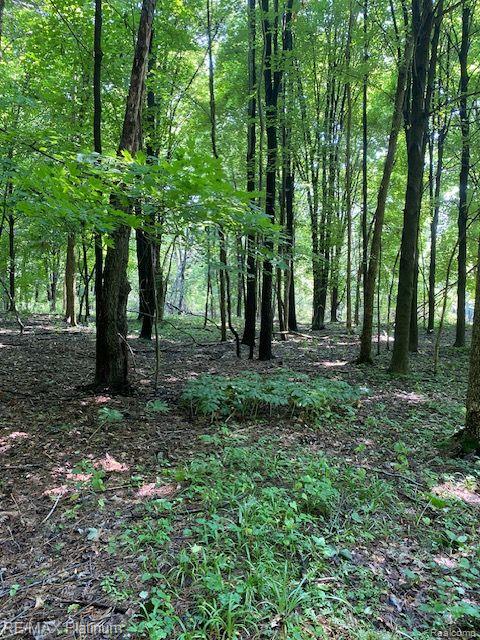 7 Sleaford-parcel 7 - 2 Acres Road Howell, MI 48843 - Photo 3 of 45