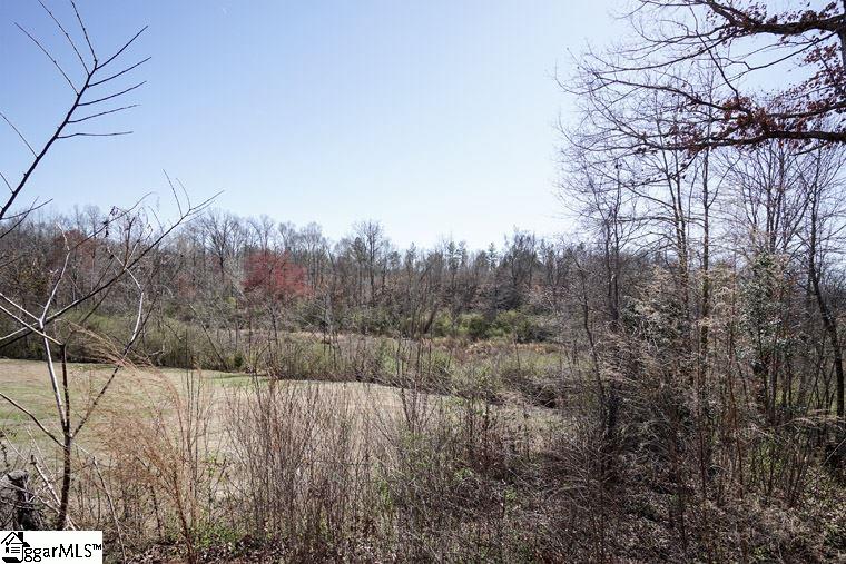 921 Cooks Bridge Road Fountain Inn, SC 29644 - Photo 18 of 20