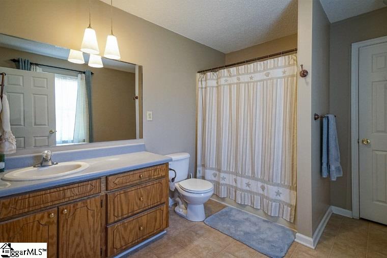 921 Cooks Bridge Road Fountain Inn, SC 29644 - Photo 10 of 20
