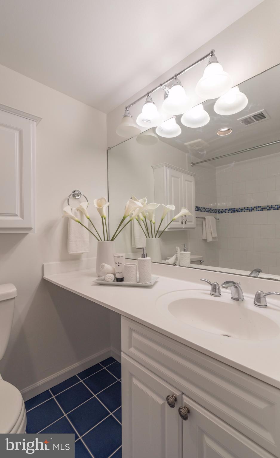 1849 Kalorama Road Northwest, Unit 3 Washington, DC 20009 - Photo 12 of 18 Bath (Master)