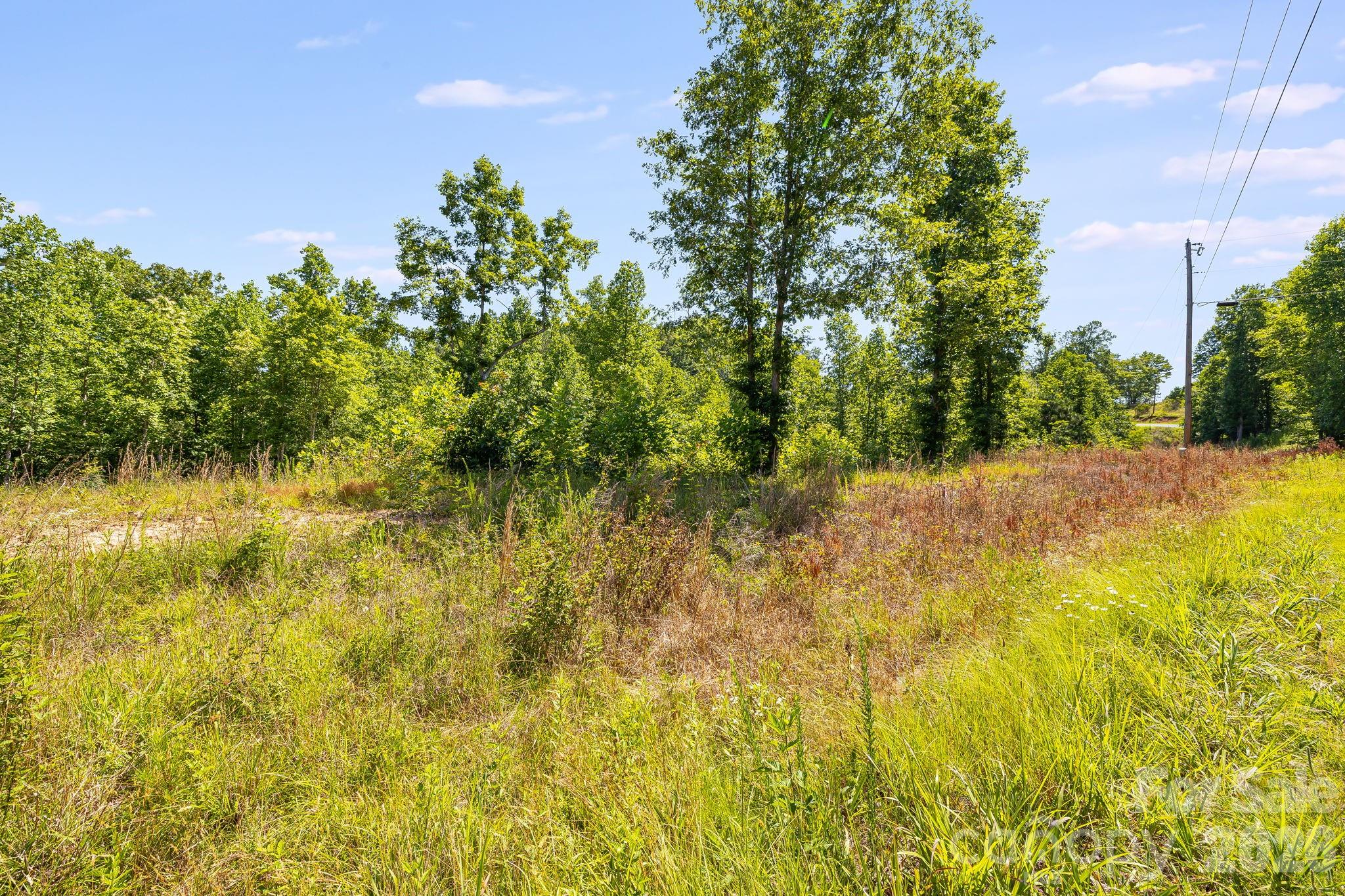Lot #2 Clark Road Rutherfordton, NC 28139 - Photo 9 of 36