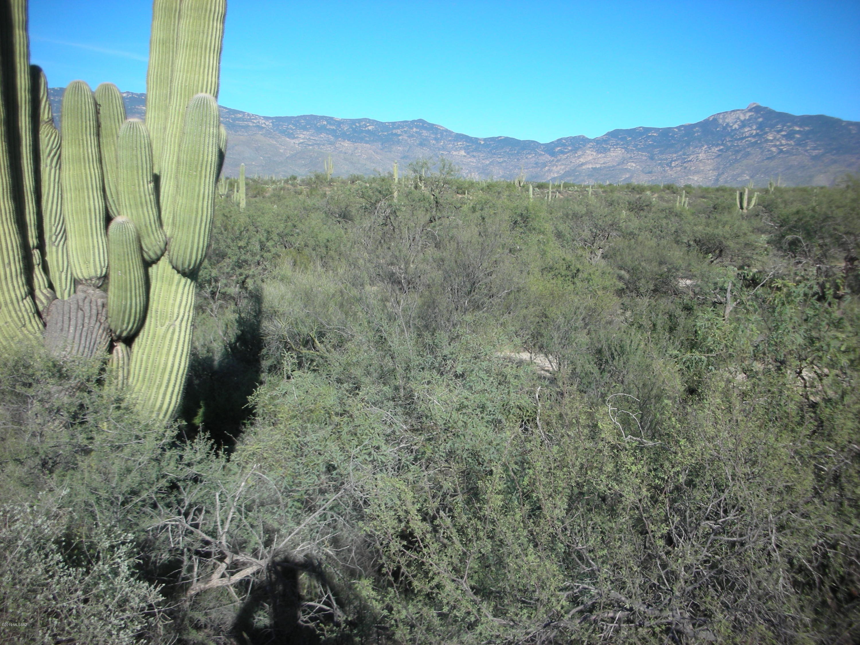 Tbd East Camino Dorotea Road Vail, AZ 85641 - Photo 22 of 24