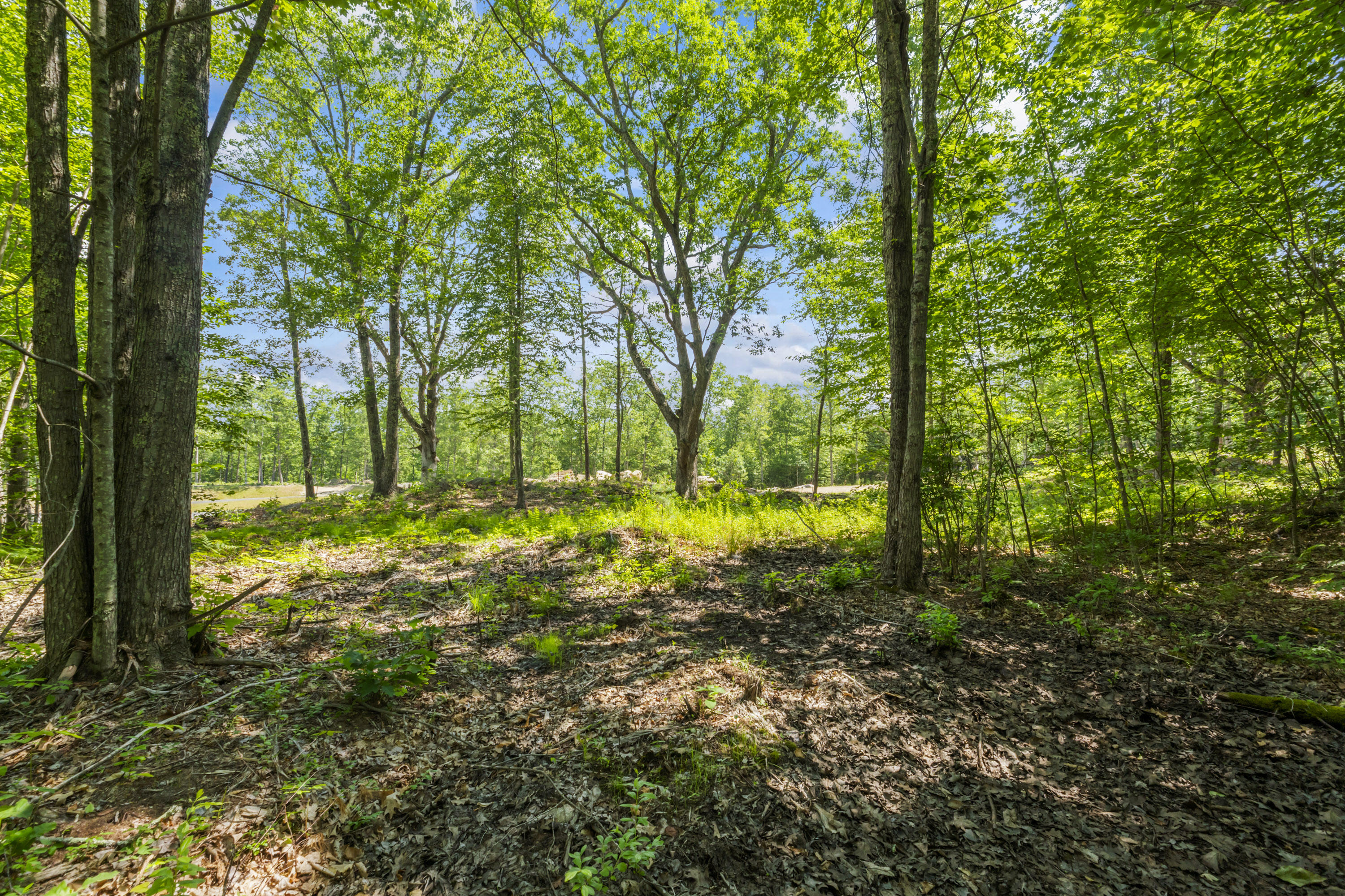 Tbd Tbd Ridge Terrace, Unit LOT 7 North Berwick, ME 03906 - Photo 4 of 22 Lot 7 Sand Ridge, North Berwick