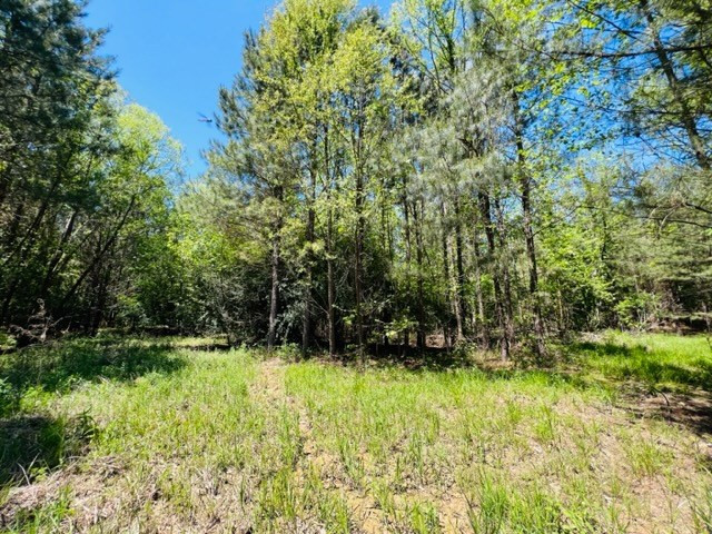 0 Lebanon Pine Grove Road Tylertown, MS 39667 - Photo 12 of 25 Photo 12