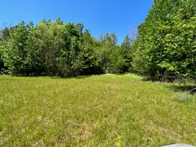 0 Lebanon Pine Grove Road Tylertown, MS 39667 - Photo 24 of 25 Photo 24