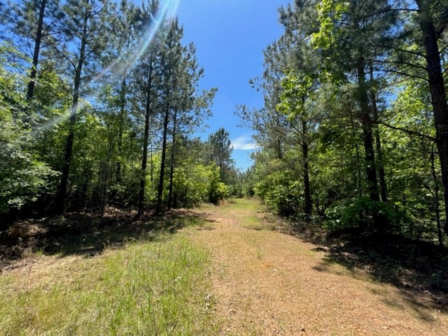 0 Lebanon Pine Grove Road Tylertown, MS 39667 - Photo 4 of 25 Photo 4