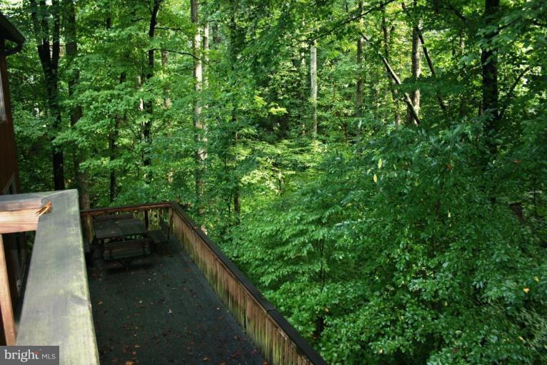 2191 Glenfield Road Annapolis, MD 21401 - Photo 16 of 22 Wooded View / Acreage 3